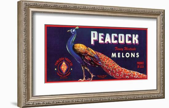 Peacock Melons-J^H^ Smith-Framed Art Print