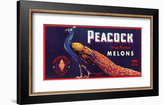 Peacock Melons-J^H^ Smith-Framed Art Print