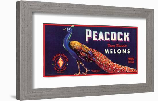 Peacock Melons-J^H^ Smith-Framed Art Print