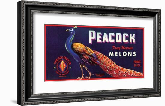 Peacock Melons-J^H^ Smith-Framed Art Print