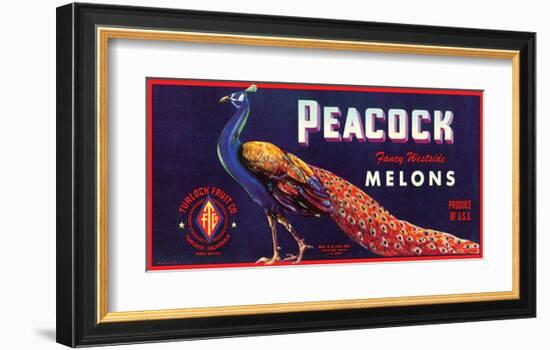 Peacock Melons-J^H^ Smith-Framed Art Print