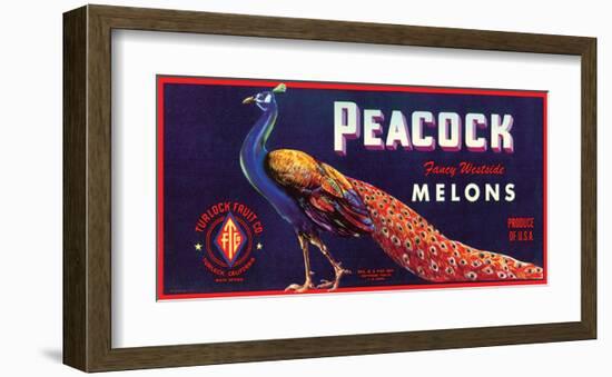 Peacock Melons-J^H^ Smith-Framed Art Print