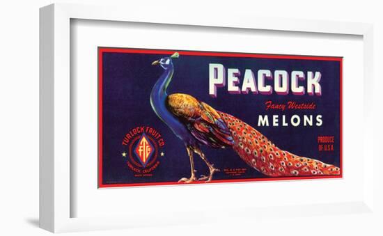 Peacock Melons-J^H^ Smith-Framed Art Print