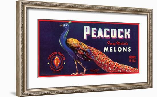 Peacock Melons-J^H^ Smith-Framed Art Print