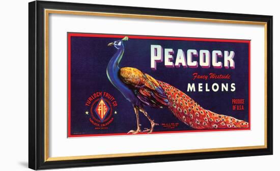 Peacock Melons-J^H^ Smith-Framed Art Print