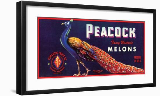 Peacock Melons-J^H^ Smith-Framed Art Print