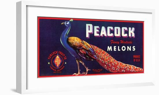 Peacock Melons-J^H^ Smith-Framed Art Print