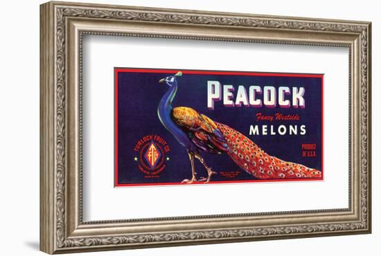 Peacock Melons-J^H^ Smith-Framed Art Print