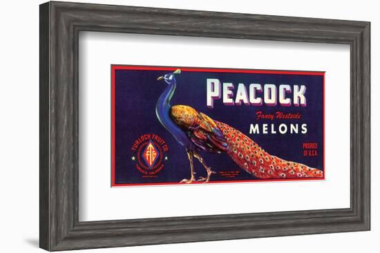 Peacock Melons-J^H^ Smith-Framed Art Print