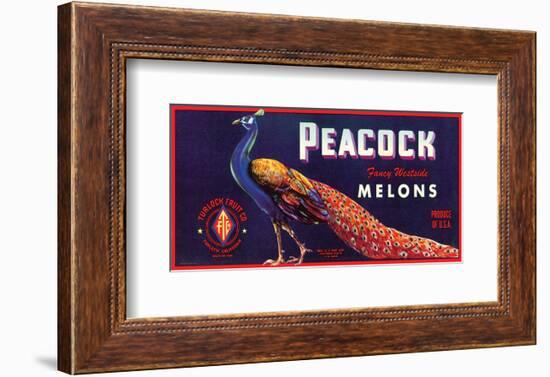 Peacock Melons-J^H^ Smith-Framed Art Print