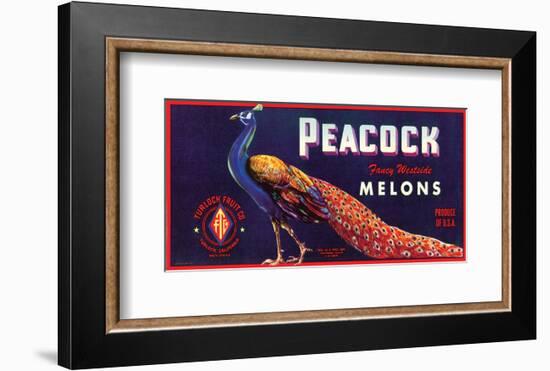 Peacock Melons-J^H^ Smith-Framed Art Print