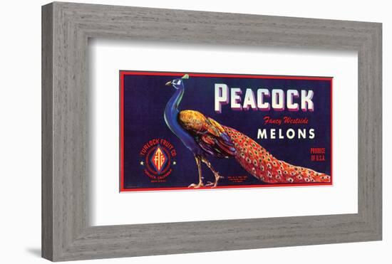 Peacock Melons-J^H^ Smith-Framed Art Print