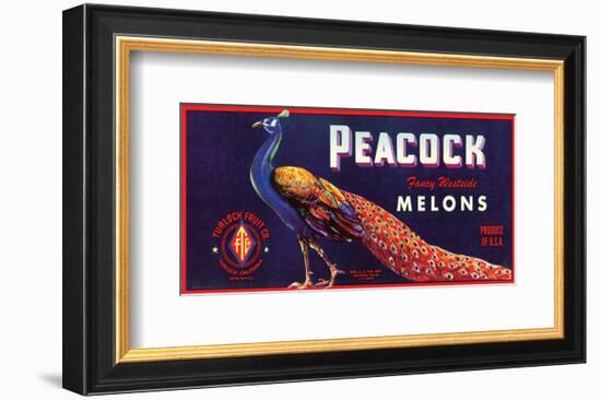 Peacock Melons-J^H^ Smith-Framed Art Print