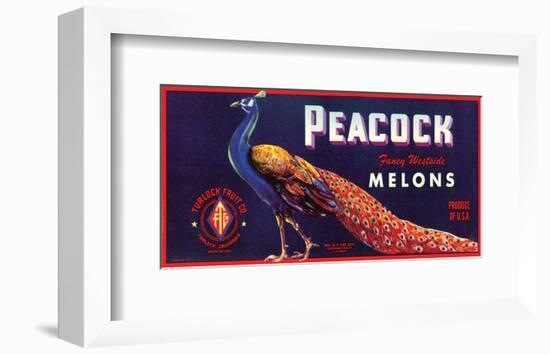 Peacock Melons-J^H^ Smith-Framed Art Print