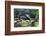 Peacock On A Fence-George Oze-Framed Photographic Print