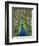 Peacock on Castle Grounds, Cardiff Castle, Wales-Cindy Miller Hopkins-Framed Photographic Print