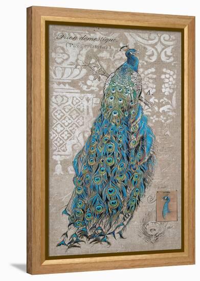 Peacock on Linen 1-Chad Barrett-Framed Stretched Canvas