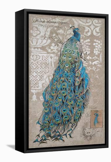 Peacock on Linen 1-Chad Barrett-Framed Stretched Canvas