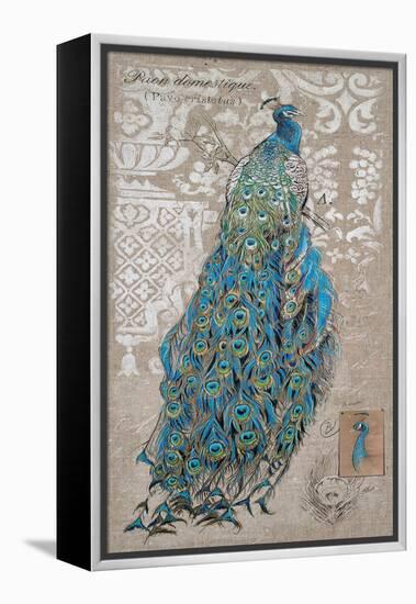 Peacock on Linen 1-Chad Barrett-Framed Stretched Canvas