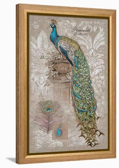 Peacock on Linen 2-Chad Barrett-Framed Stretched Canvas