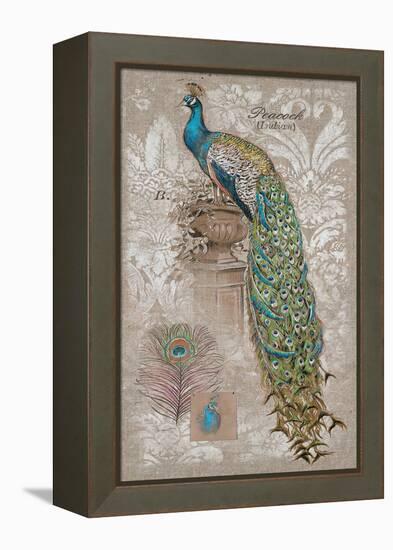 Peacock on Linen 2-Chad Barrett-Framed Stretched Canvas