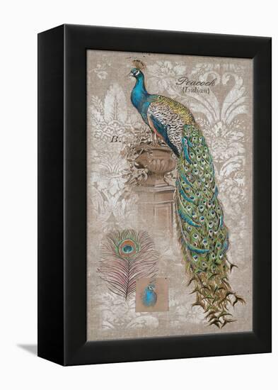 Peacock on Linen 2-Chad Barrett-Framed Stretched Canvas