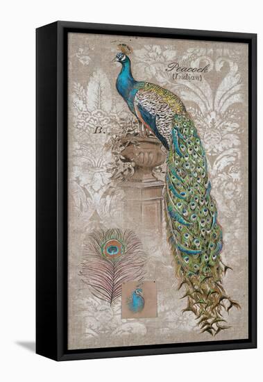 Peacock on Linen 2-Chad Barrett-Framed Stretched Canvas