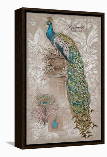 Peacock on Linen 2-Chad Barrett-Framed Stretched Canvas