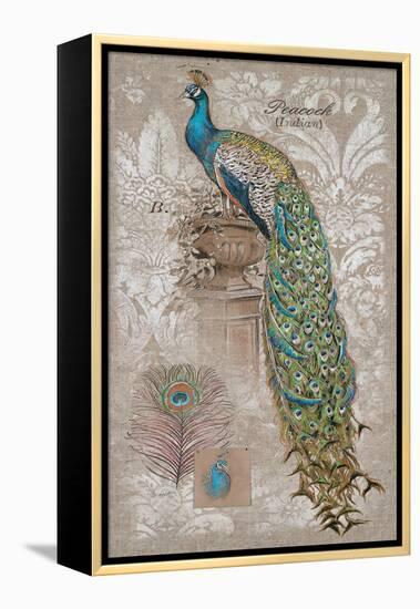 Peacock on Linen 2-Chad Barrett-Framed Stretched Canvas