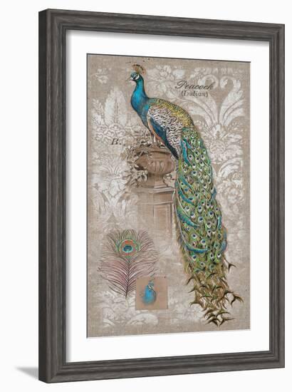 Peacock on Linen 2-Chad Barrett-Framed Art Print
