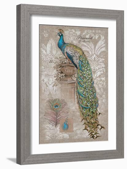 Peacock on Linen 2-Chad Barrett-Framed Art Print