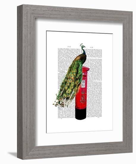 Peacock on Postbox-Fab Funky-Framed Art Print