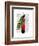 Peacock on Postbox-Fab Funky-Framed Art Print