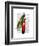 Peacock on Postbox-Fab Funky-Framed Art Print