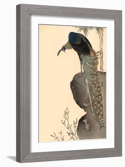 Peacock on Rock Outcropping-null-Framed Art Print