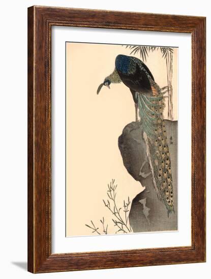 Peacock on Rock Outcropping-null-Framed Art Print