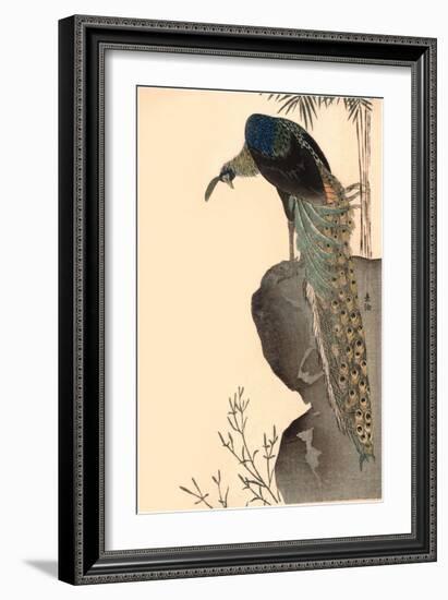 Peacock on Rock Outcropping-null-Framed Art Print