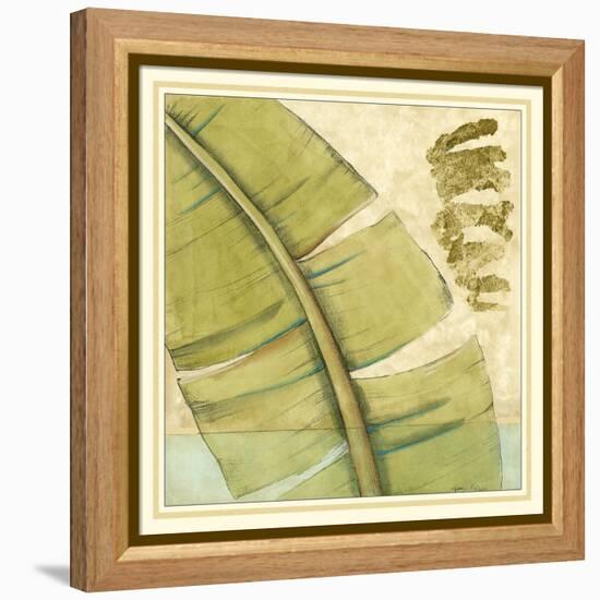 Peacock Palm III-Jennifer Goldberger-Framed Stretched Canvas