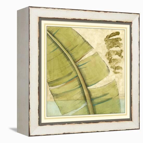 Peacock Palm III-Jennifer Goldberger-Framed Stretched Canvas
