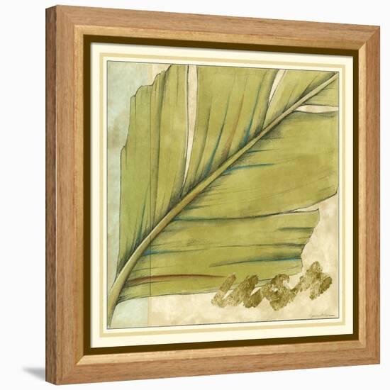 Peacock Palm IV-Jennifer Goldberger-Framed Stretched Canvas