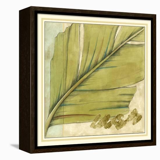 Peacock Palm IV-Jennifer Goldberger-Framed Stretched Canvas