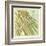 Peacock Palm VI-Jennifer Goldberger-Framed Art Print