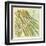 Peacock Palm VI-Jennifer Goldberger-Framed Art Print