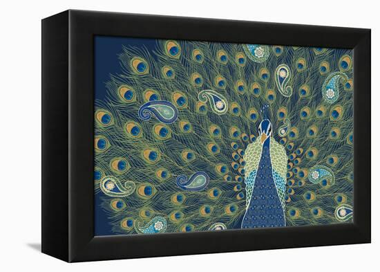 Peacock Paradise VI-Veronique Charron-Framed Stretched Canvas