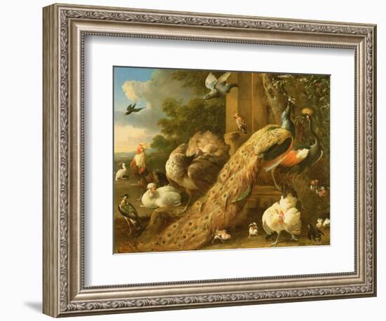 Peacock, Parakeet, Pelican, Crane and Poultry-Melchior de Hondecoeter-Framed Giclee Print