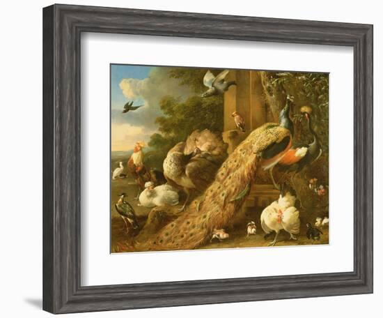 Peacock, Parakeet, Pelican, Crane and Poultry-Melchior de Hondecoeter-Framed Giclee Print