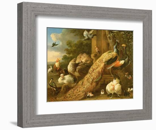 Peacock, Parakeet, Pelican, Crane and Poultry-Melchior de Hondecoeter-Framed Giclee Print