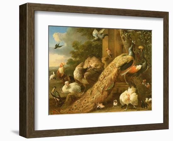 Peacock, Parakeet, Pelican, Crane and Poultry-Melchior de Hondecoeter-Framed Giclee Print