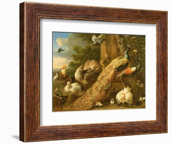 Peacock, Parakeet, Pelican, Crane and Poultry-Melchior de Hondecoeter-Framed Giclee Print