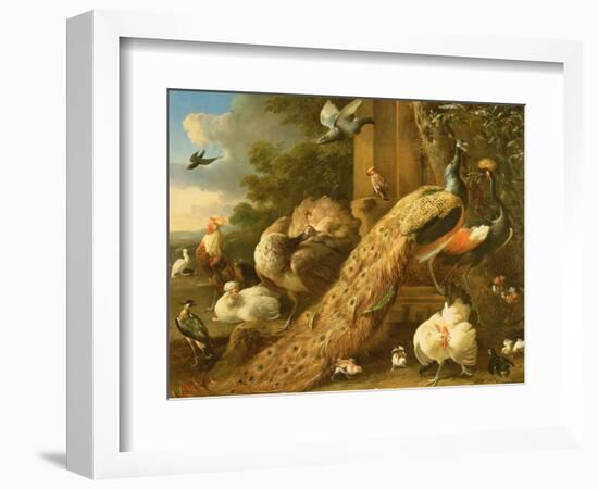 Peacock, Parakeet, Pelican, Crane and Poultry-Melchior de Hondecoeter-Framed Giclee Print